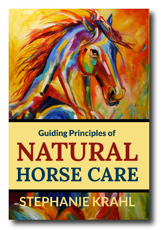 Natural Horse Care Guiding Principles by Soulful Equine