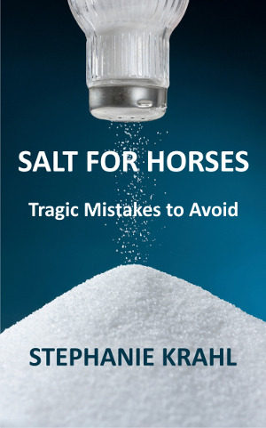 Salt for Horses by Soulful Equine