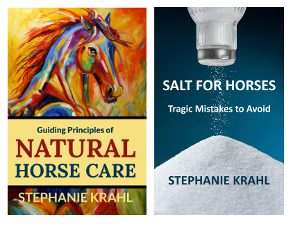 Salt for Horses and Guiding Principles of Natural Horse Care book bundle by Soulful Equine