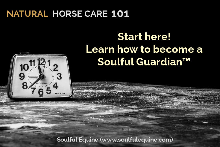 Natural Horse Care 101 by Soulful Equine