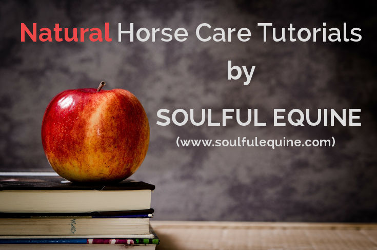 Natural Horse Care Tutorials by Soulful Equine