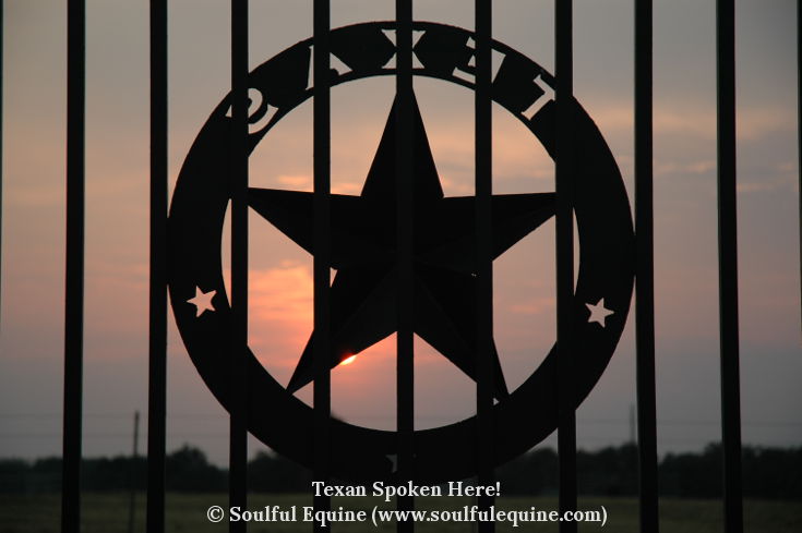 Soulful Equine - Texan Spoken Here
