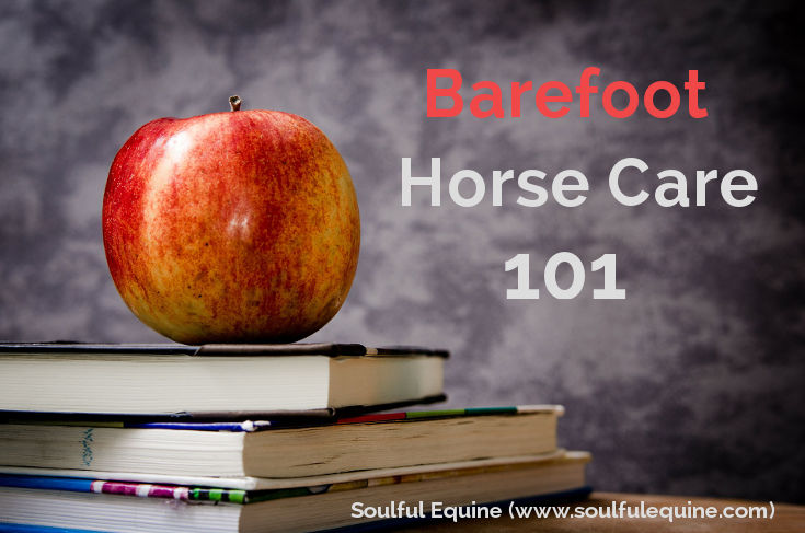 Barefoot Horse Care 101 by Soulful Equine