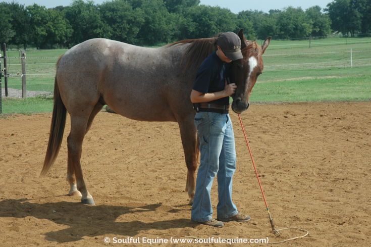 Stephanie and Ransom