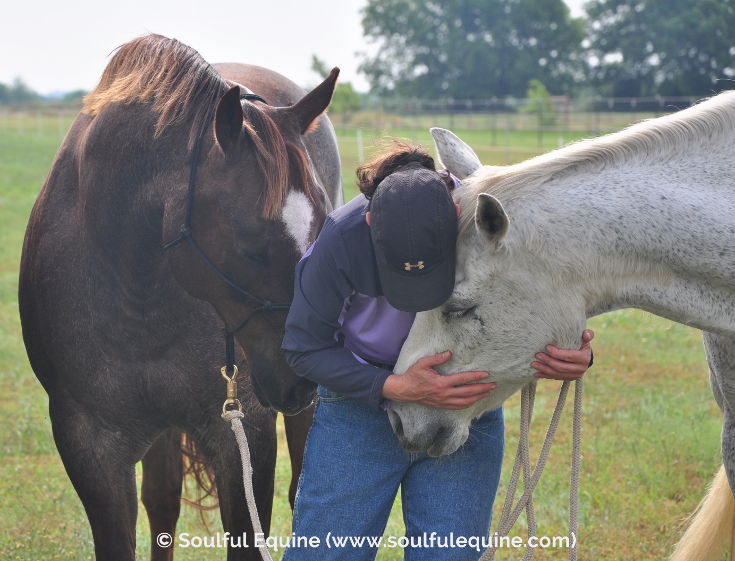 How to Deepen Your Relationship with Your Horse