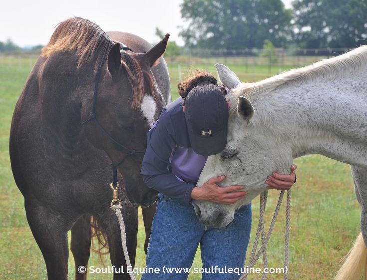 How to Deepen Your Relationship with Your Horse How to Deepen Your Relationship with Your Horse