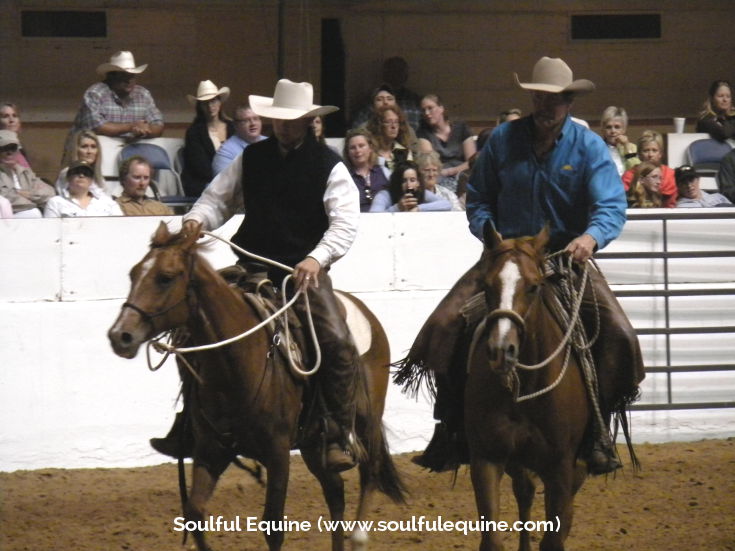 Parelli Colt Start